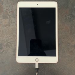 iPad Mini With UAG Case