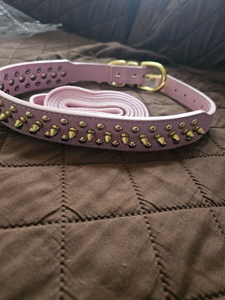 Dog Collar With Leash