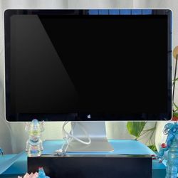 Apple 24" LED Cinema Display ( Mini Display Port )