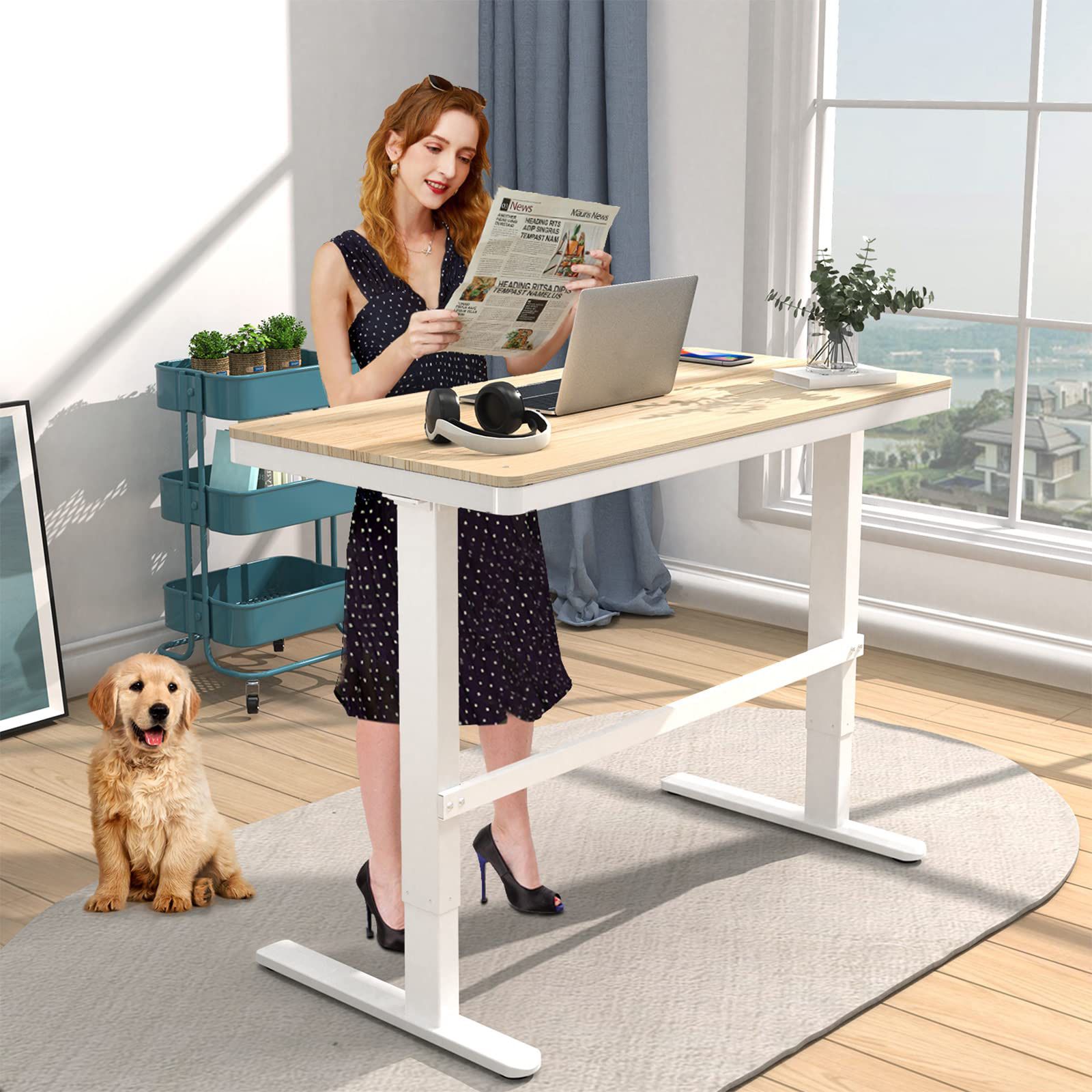48In Wood Electric Standing Desk with USB Charging Ports Height Adjustable Table