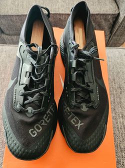 Men's Nike Gortex shoes