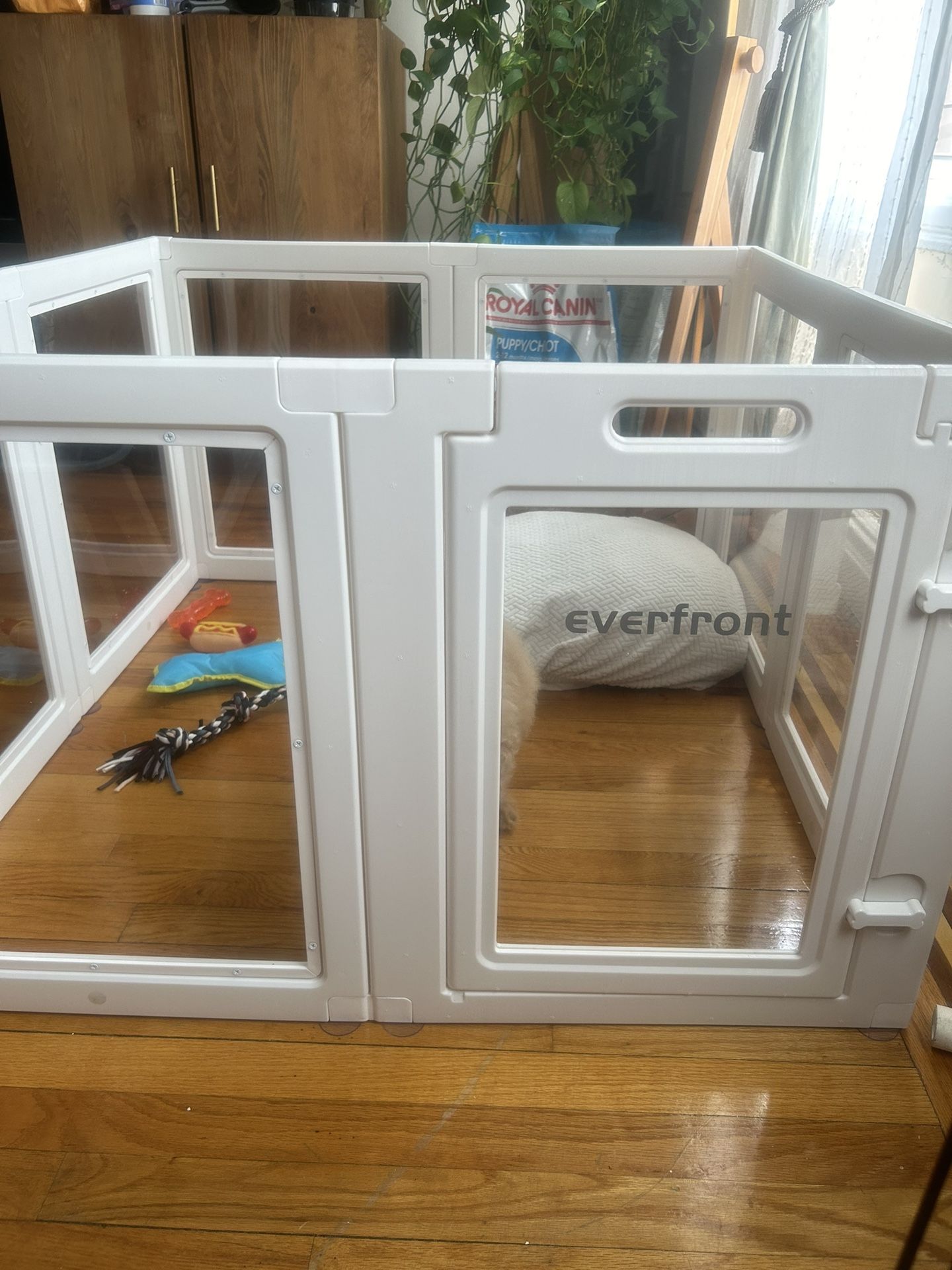 Ever Front 
