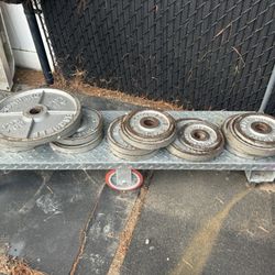 Weight Plates 