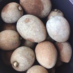 KEY WEST MAMEY FOR SALE. ONLY $2 A POUND