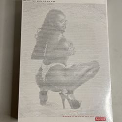 Supreme Digi Puzzle Stripper $100 Sealed