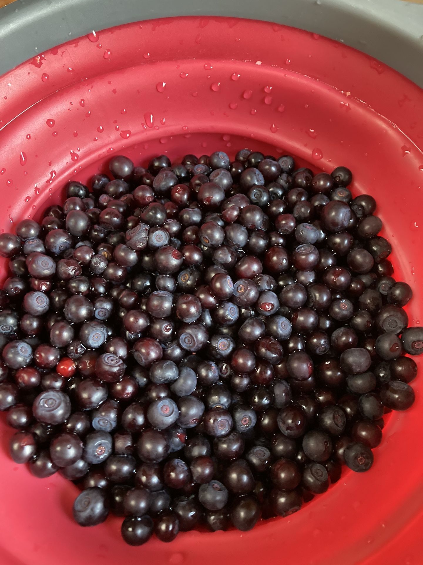 Huckleberry Fresh Or Frozen