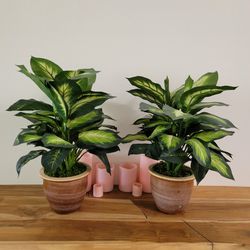Artificial House Plants Set Of 2
