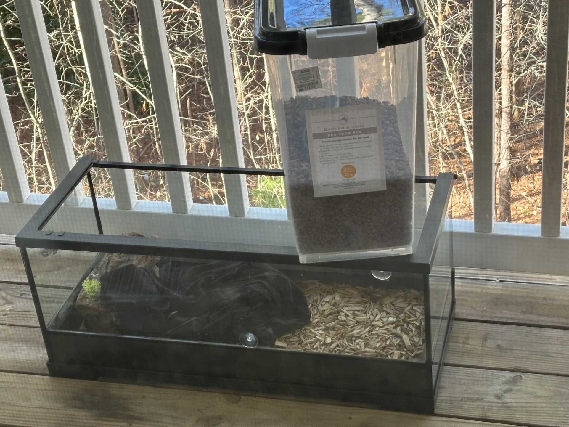Reptile Tank