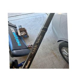 assume reality Swimbait Fishing Rod - Built for Fishing Enthusiasts