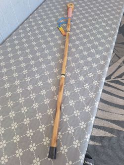Hiking Stick
