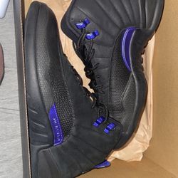 Jordan 12 Concord 