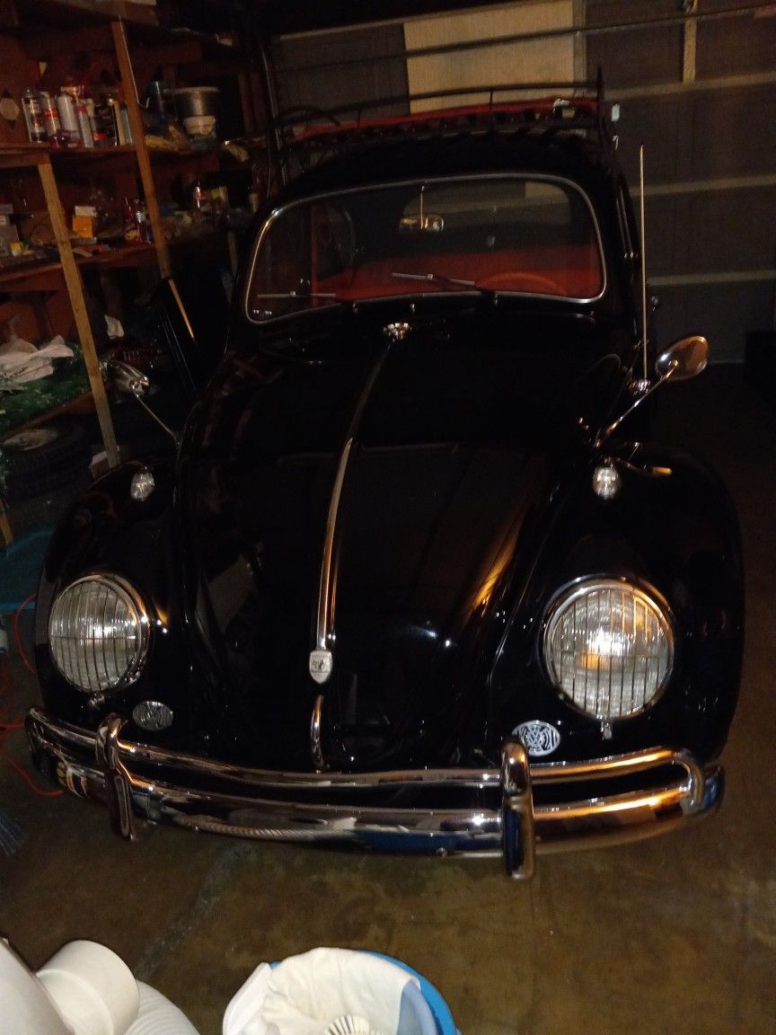 1964 Volkswagen Beetle