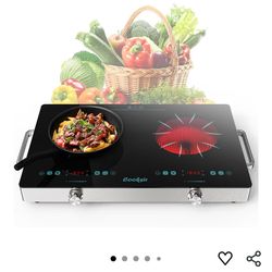 Portable Double Induction Cooktop – Works Great
