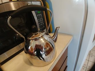 Stainless tea kettle