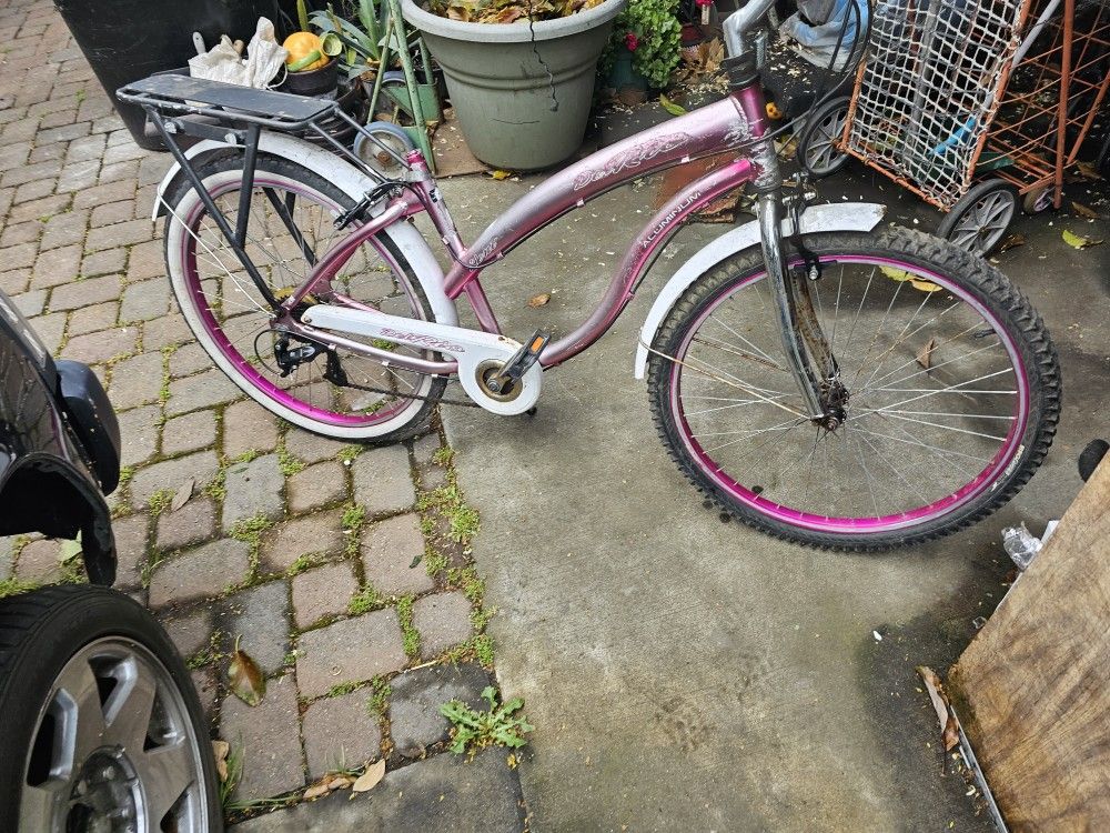 Del rio aluminum bike hotsell
