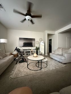 Large area rug and runner