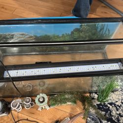 18 Gallon Aquarium And Supplies