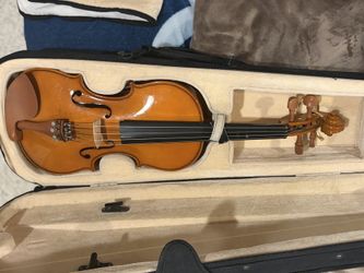 Cecilio Viola 14”