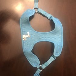 Harness With Matching Leash