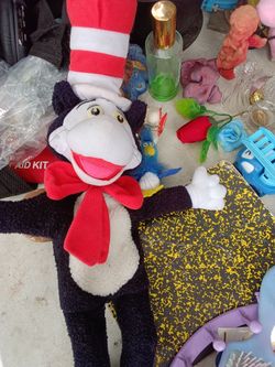 Cat in the hat