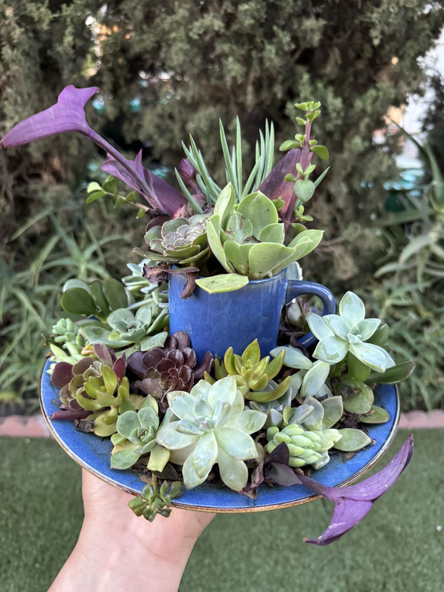 Pretty Arrangements