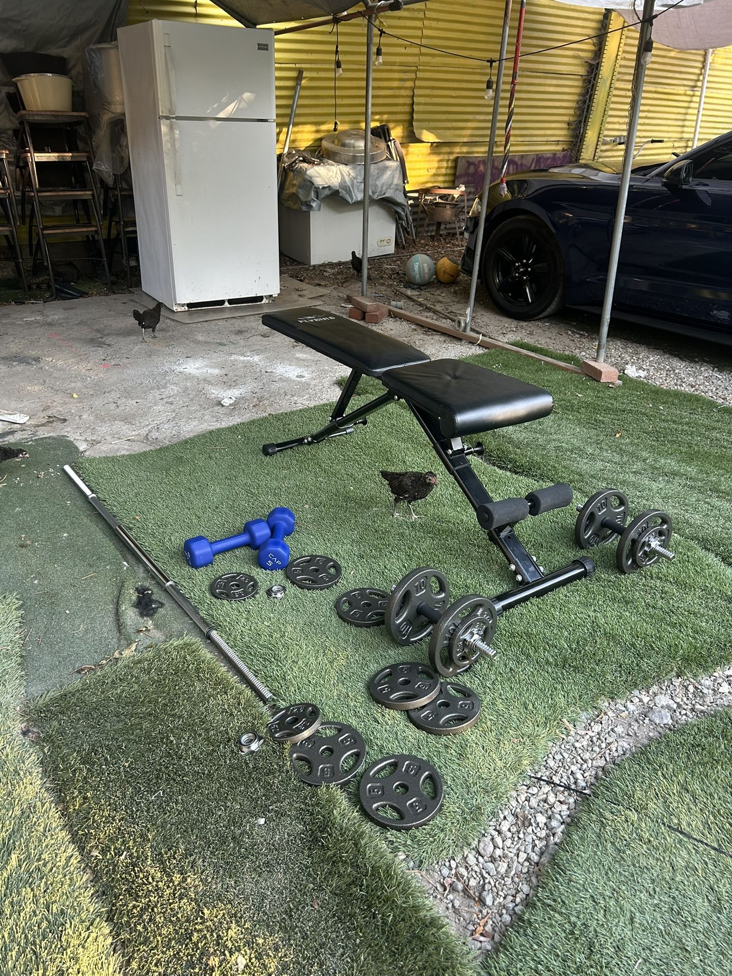 Weight Set and Bench