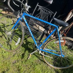 Schwinn Bike