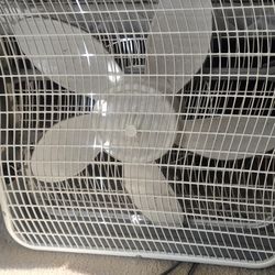 Table Fan