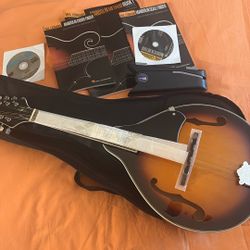 Mandolin Instrument 