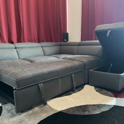 Sectional couch w/ pull out sleeper