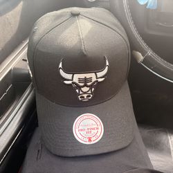 Brand new bulls hat