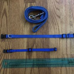 Royal Blue Dog Leash and 2 Collars for growing dogs) 