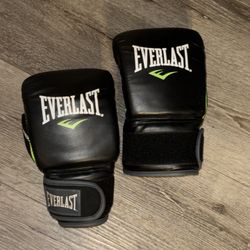 Everlast Boxing Set – Gloves + Punching Bag
