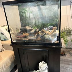 Fish Tank 