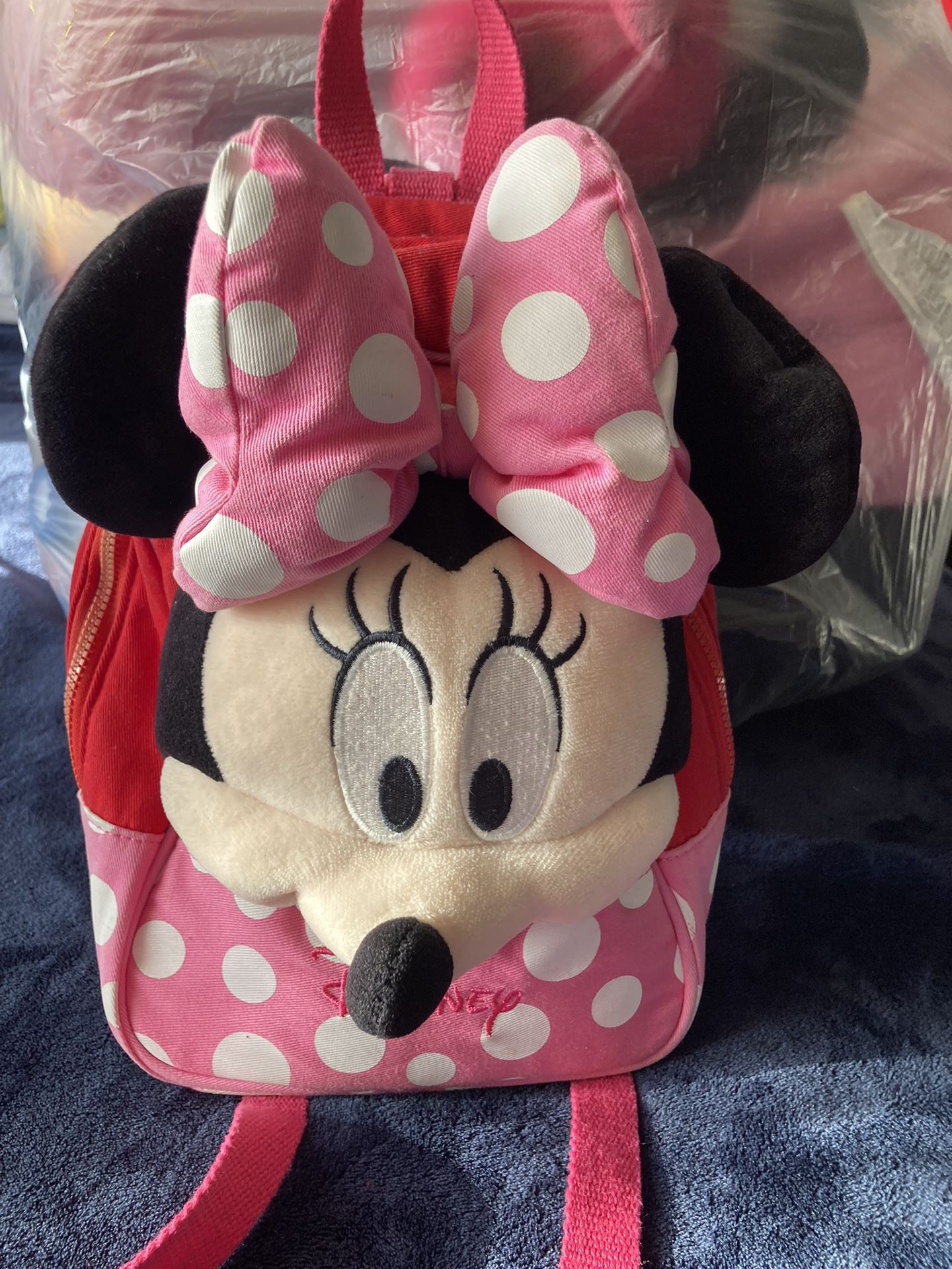 Minnie Mouse Bag 