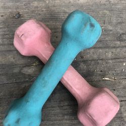 3 Lb Weights