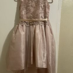 Rose Gold Dress For Kids 