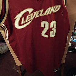 Lebron James Jersey 3x
