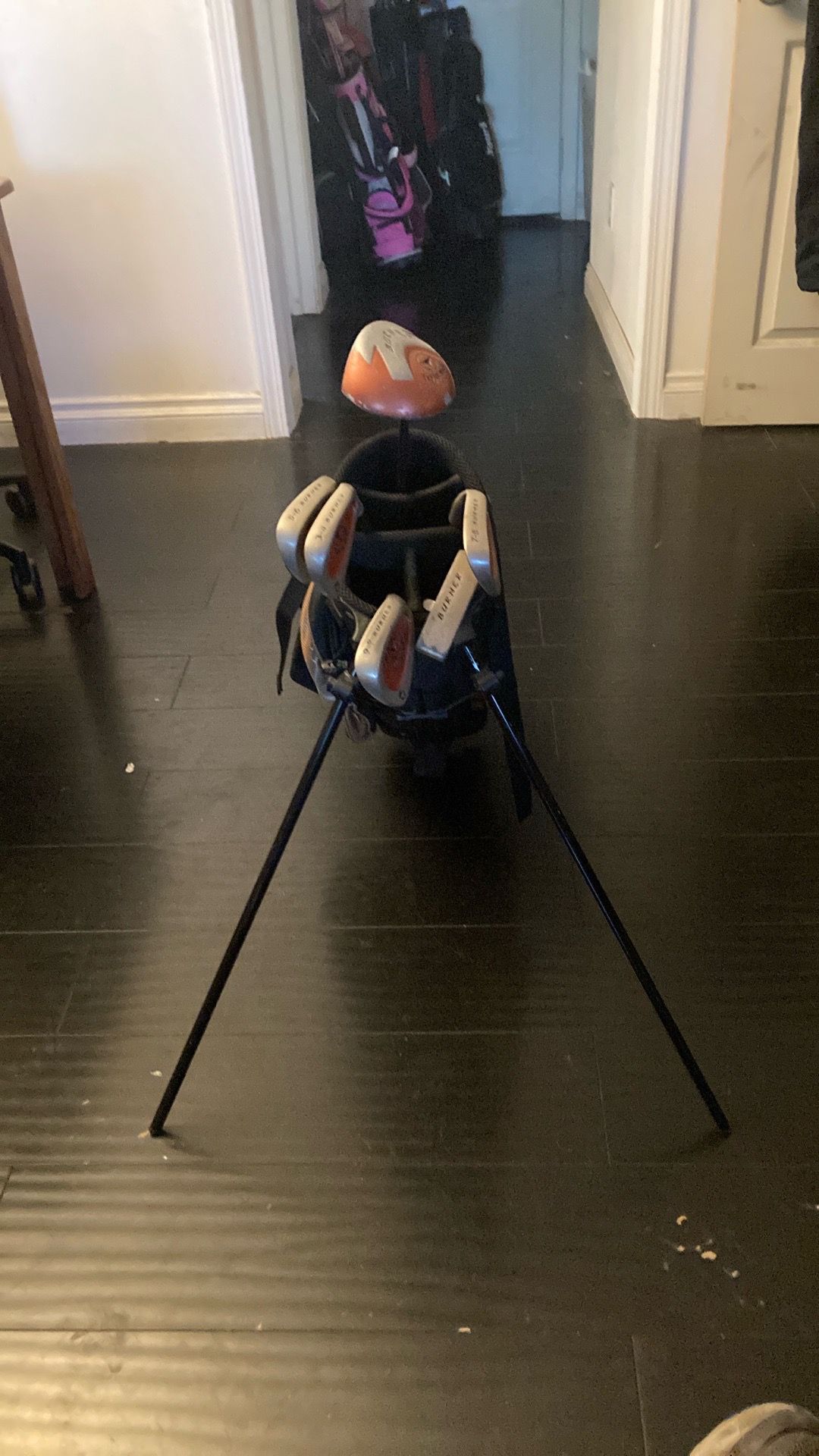 Golf Juniors RH TaylorMade w/Stand Bag