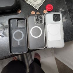 iPhone 13 Pro Max Case