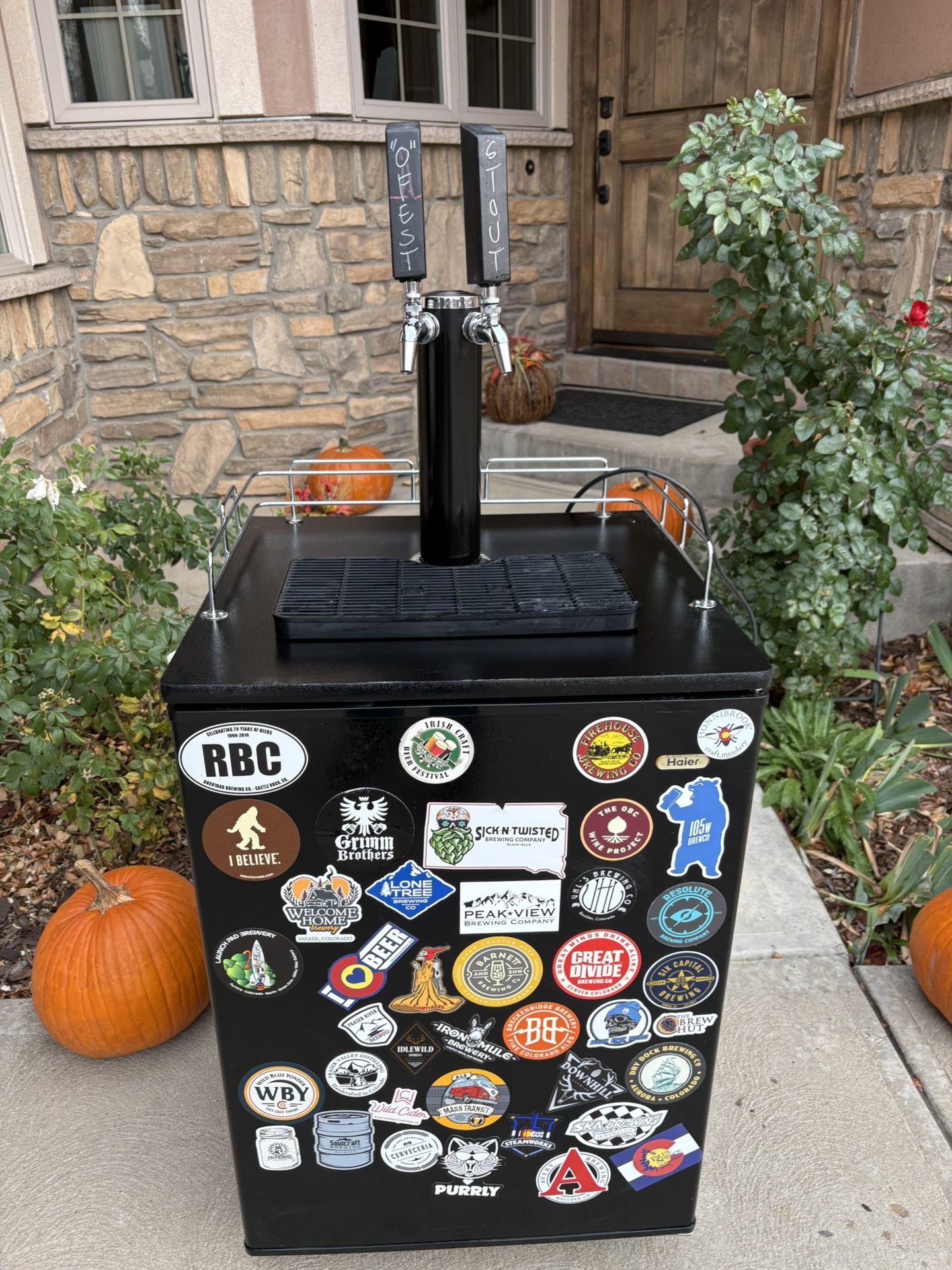 Dual tap Homebrewer Kegerator