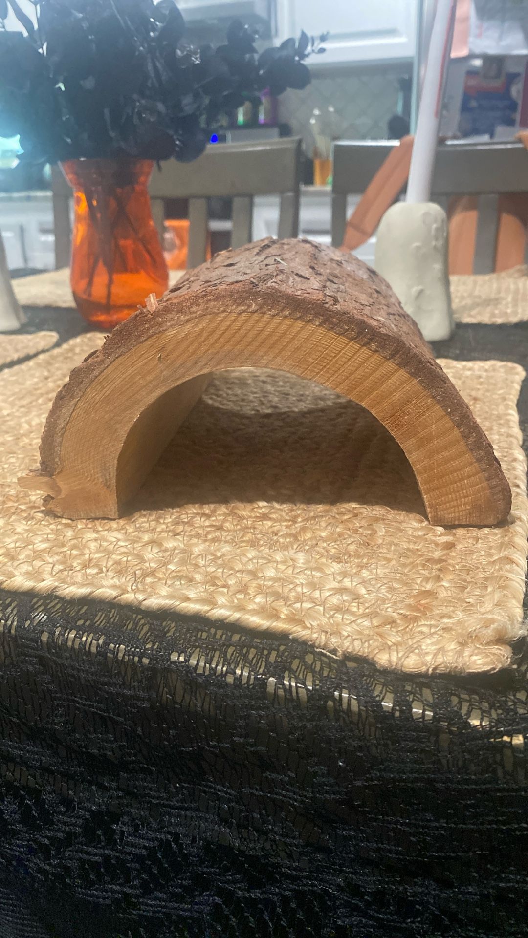 Reptile Hideout Small