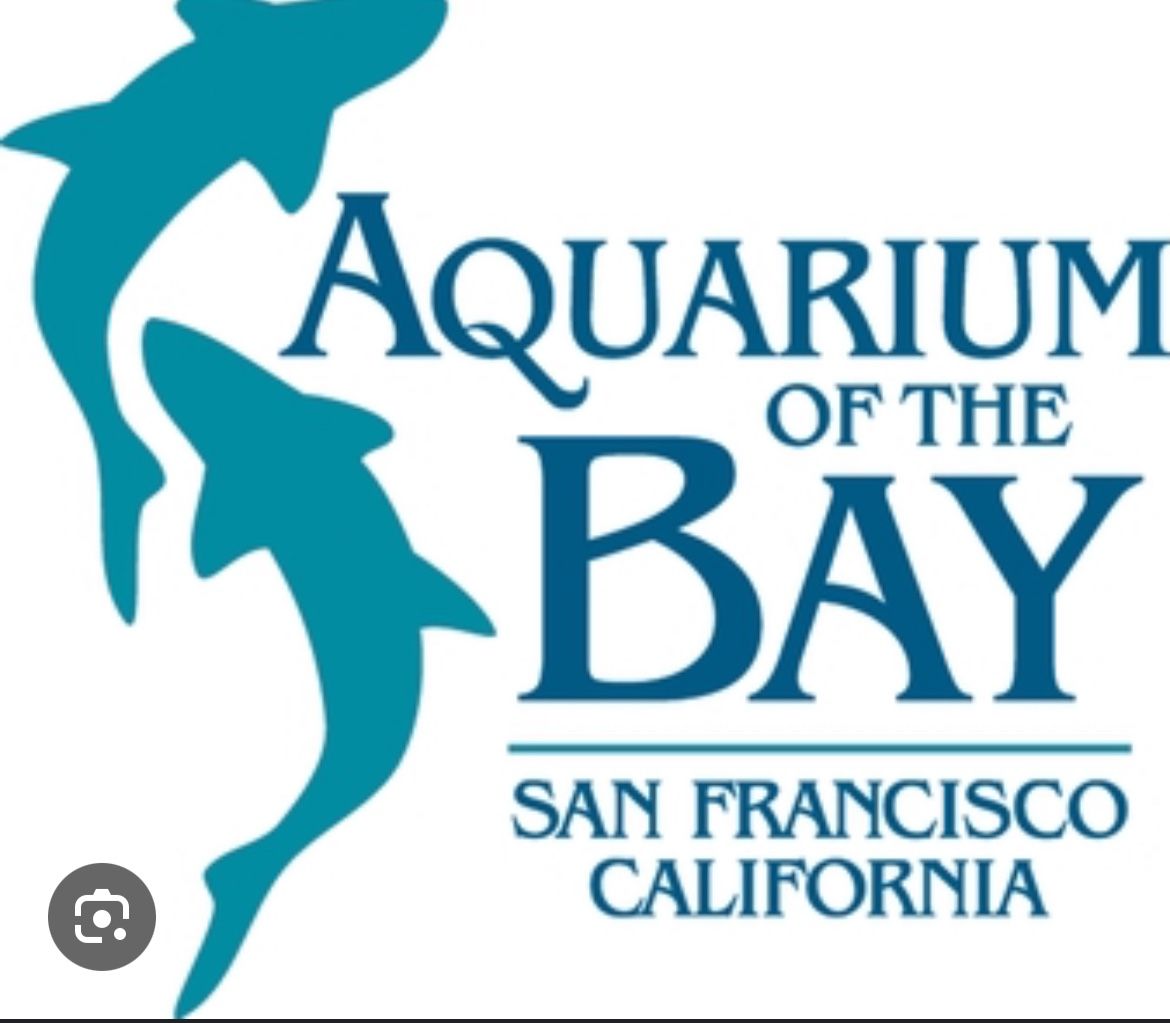 Aquarium Of The Bay