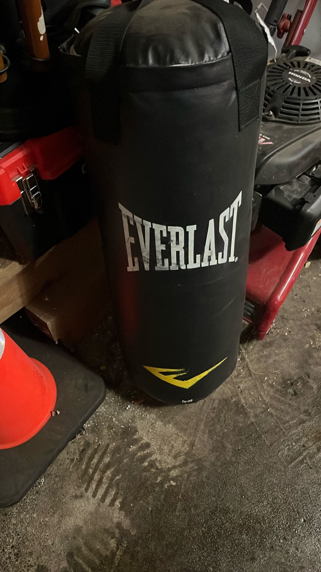 Everlast Punching Bag