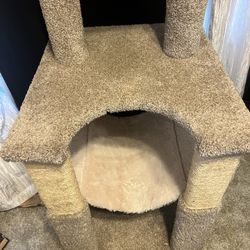 Cat Tree 