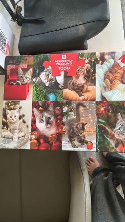 1000 Piece Cat Puzzle 