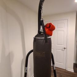 Everlast Heavy Boxing Bag(100lbs) W Stand and Training Gloves