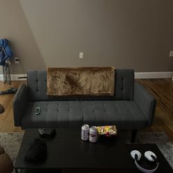 Brand New Futon