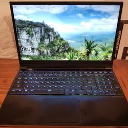 Overpowered Gaming Laptop 144hz Screen