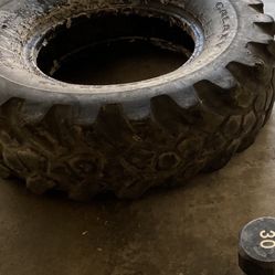 Tractor Tire For Training 